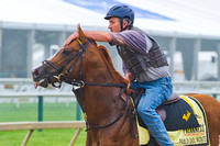 Pablo Del Monte gallops at Pimlico Race Course in Baltimore, Maryland, in preparation for the 139th Preakness Stakes.
