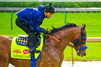 Hoppertunity breezes around Churchill Downs in preparation for the 140th Kentucky Derby.
