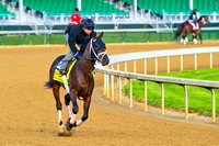 Vinceremos jogs on the main track in preparation for the 140th Kentucky Derby at Churchill Downs in Louisville, Kentucky.