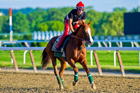 Belmont Stakes 146 Photo Blog Day 5