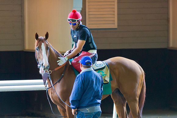 Belmont Stakes and Triple Crown contender California Chrome puts in final preparations at Belmont Park in New York.