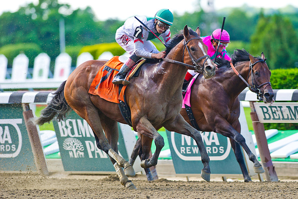 Palace, Jose Ortiz aboard, wins the Grade 2 True North Stakes at Belmont Park in New York.