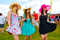 The scene at Pimlico Race Course on Preakness Day 2014.