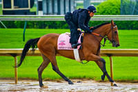 Kentucky Oaks 140 contender Empress Of Midway gallops a mile and a half over the sloppy Churchill strip.