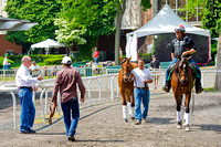Trainer Richard Mandella oversees Beholder's paddock schooling session in preparation for the Ogden Phipps stakes on the Belmont Stakes card at Belmont Park in New York.