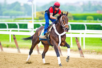 Ride On Curlin gallops in preparation for the 146th Belmont Stakes at Belmont Oark in New York.