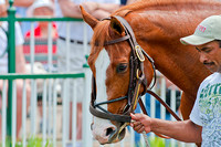 Kentucky Derby 138 Photo Blog Day 2