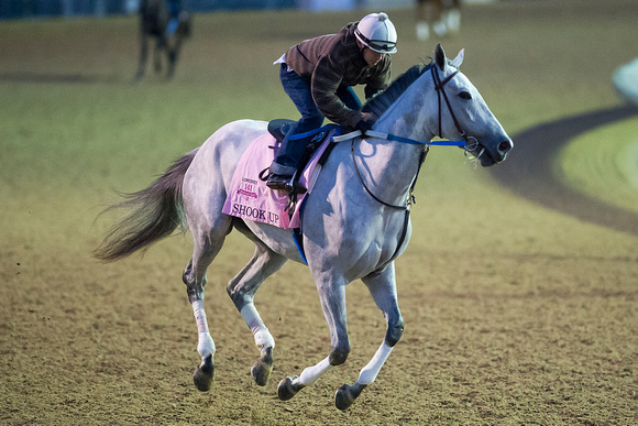 Shook Up worked a half-mile Sunday in 49.60 seconds under exercise rider Mike Callaham for trainer Steve Asmussen in preparation for the Kentucky Oaks.