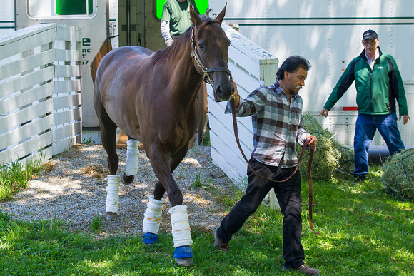 Kentucky Oaks contender Stellar  Wind arrived  at  Churchill Downs  early Sunday  afternoon.