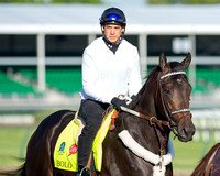 Bolo went out for a one mile jog around the track in preparation for the Kentucky Derby.