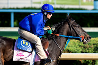Condo Commando, with trainer Rudy Rodriguez aboard, galloped in preparation for the Kentucky Oaks at Churchill Downs in Louisville, Kentucky.