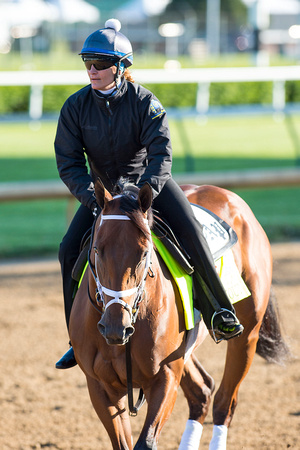 Itsaknockout with exercise rider Isabelle Bourez after galloping over the track in preparation for the Kentucky Derby.