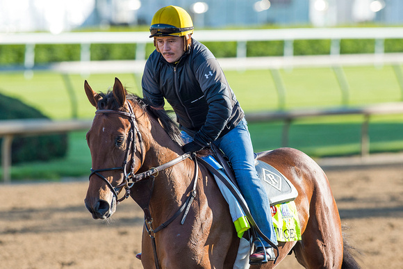 Keen Ice galloped two miles Monday with exercise rider Faustino Aguilar aboard in preparation for the Kentucky Derby.