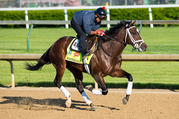 Florida Derby (GI) winner Materiality, undefeated in 3 starts, gallops over the track in preparation for the Kentucky Derby.