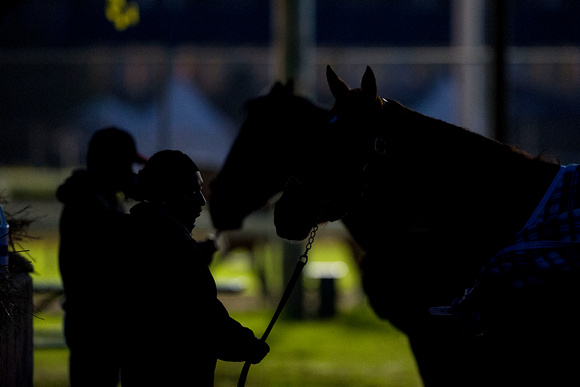 Scenes from Monday's morning workouts at Churchill Downs in Louisville, Kentucky.