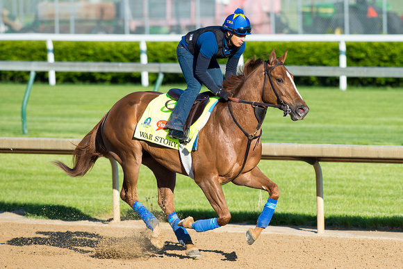 War Story galloped one and one half miles under exercise rider Marvin Orantes in preparation for the Kentucky Derby.