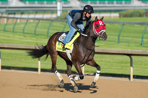 Louisiana Derby (GII) winner and Road to the Kentucky Derby points leader International Star galloped a mile and a quarter with exercise rider Joel Barrientos up in preparation for the Kentucky Derby.