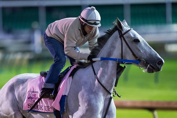 Shook Up gallops in preparation for the Kentucky Oaks at Churchill Downs.