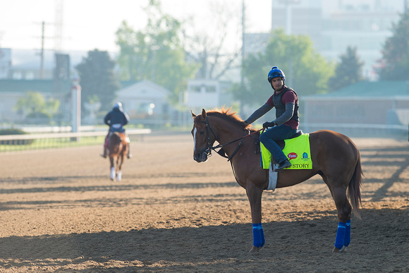War Story galloped one and a half miles with exercise rider Marvin Orantes aboard in preparation for the Kentucky Derby.