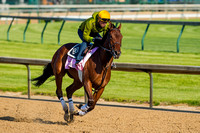 Birdatthewire galloped with exercise rider Faustino Aguilar up, in preparation for the Kentucky Derby.