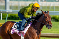 Birdatthewire galloped with exercise rider Faustino Aguilar up, in preparation for the Kentucky Derby.