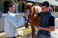 Jockey Florent Geroux soothes I'm A Chatterbox after morning exercises in preparation for the Kentucky Oaks.