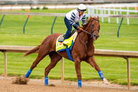 Dortmund galloped 1 and 1/2 miles in preparation for the Kentucky Derby.
