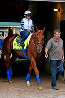 Dortmund heads to the track just before galloping 1 and 1/2 miles in preparation for the Kentucky Derby.