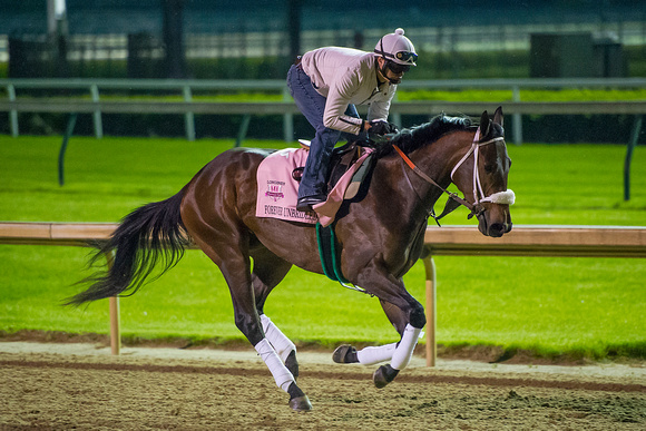 Forvever Unbridled galloped a mile and three eighths under exercise rider Emerson Chavez in preparation for the Kentucky Oaks.