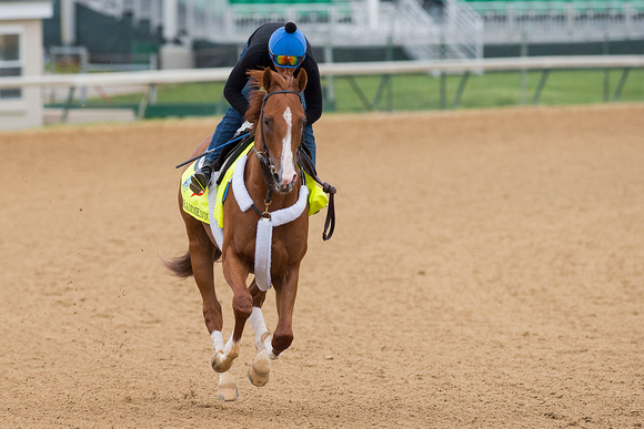 Frammento galloped  1 and 1/2 miles under  exercise rider JuanBernardini in preparation for the Kentucky Derby.
