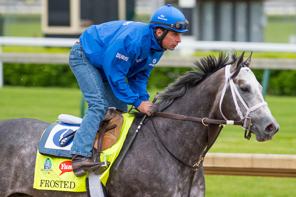 Frosted galloped 1 and 3/8 miles under exercise rider Rob Massey in preparation for the Kentucky Derby.