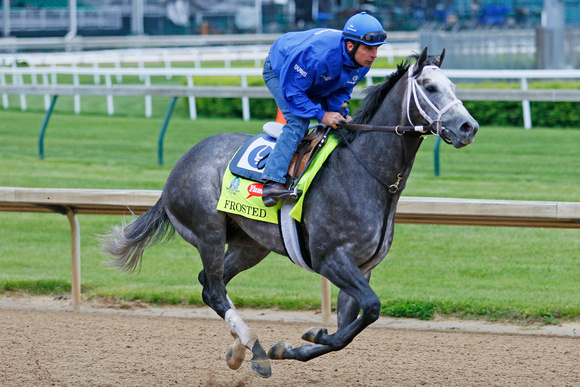 Frosted galloped 1 and 3/8 miles under exercise rider Rob Massey in preparation for the Kentucky Derby.