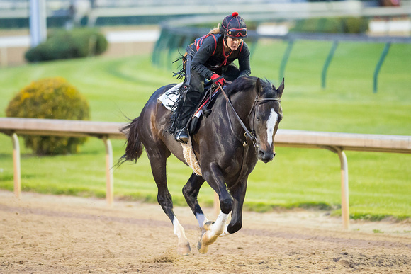 Honor Code galloped at Churchill Downs in preparation for the Alysheba Stakes on Kentucky Oaks day.
