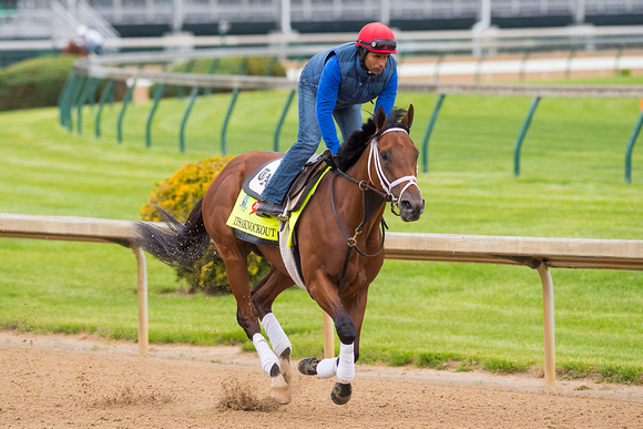 Itsaknockout galloped a mile and a half wth exercise rider Ezequiel Perez aboard in preparation for the Kentucky Derby.