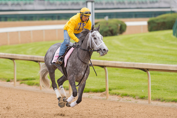 Gary and Mary West’s Oceanwave galloped  1 and 1/2 miles in preparation for the Kentucky Oaks.
