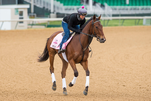 Donegal Racing’s Puca galloped 1 3/8 miles in preparation for the Kentucky Oaks.