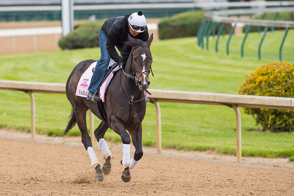 Sarah Sis galloped 1 and 1/2 miles miles  with exercise rider Jesus Esquivel in preparation for the Kentucky Oaks.