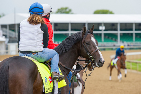 Ralph M. Evans and WinStar Farm’sUpstart galloped 1 3/8 miles under exercise rider Vicki King in preparation for the Kentucky Derby.