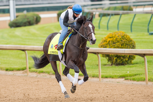 Ralph M. Evans and WinStar Farm’sUpstart galloped 1 3/8 miles under exercise rider Vicki King in preparation for the Kentucky Derby.