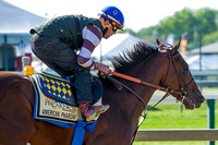 American Pharoah galloped over the racetrack for the first time since arriving in preparation for the Preakness Stakes at Pimlico Race Course in Baltimore, Maryland.