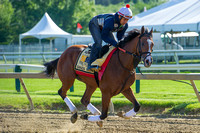 Danzig Moon galloped over the racetrack for the first time since arriving in preparation for the Preakness Stakes at Pimlico Race Course in Baltimore, Maryland.