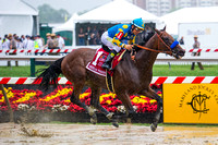 American Pharoah, with Victor Espinoza aboard, wins the Xpressbet.com Preakness Stakes (GI) at Pimlico Race Course in Baltimore, Maryland.