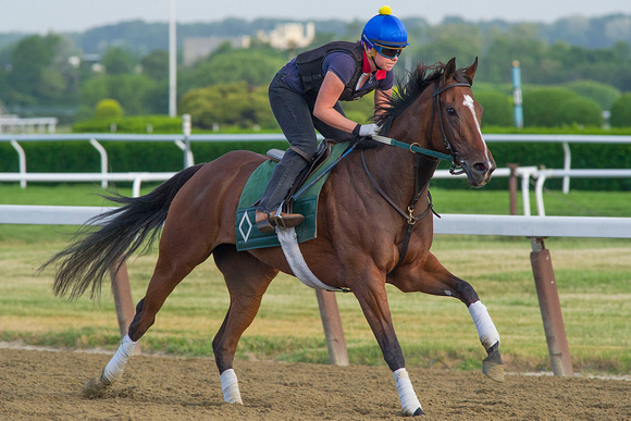 Lady Lara, trained by Bill Mott, gallops in preparation for the Longines Just A Game Stakes (GI) at Belmont Park in Elmont, New York.