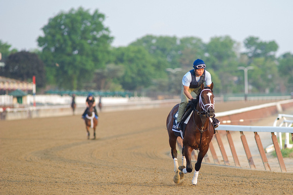 Materiality, winner of the Florida Derby (GI), gallops in preparation for the Belmont Stakes (GI) at Belmont Park in Elmont, New York.
