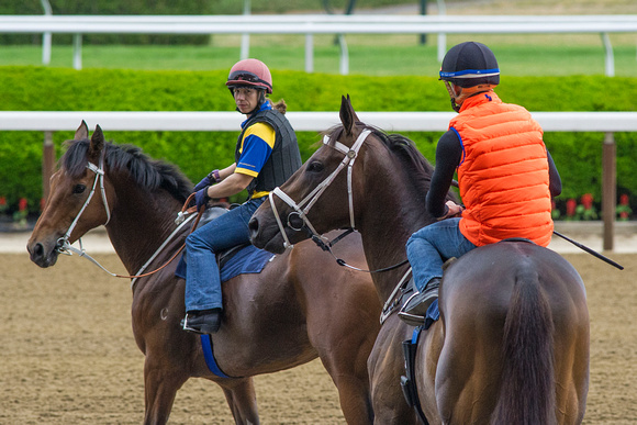 UAE Derby (GII) winner Mubtaahij, flanked by workmate Umgiyo, with rider Irad Ortiz, Jr. aboard, gallops in preparation for the Belmont Stakes (GI) at Belmont Park in Elmont, New York.