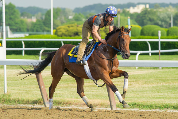 Twilight Eclipse, winner of the Man O' War Stakes (GI) gallops in preparation for the Belmont Stakes (GI) at Belmont Park in Elmont, New York.