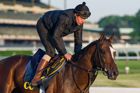 Tonalist, winner of the Belmont Stakes (GI) and The Jockey Club Gold Cup (GI), gallops in preparation for the Belmont Stakes (GI) at Belmont Park in Elmont, New York.