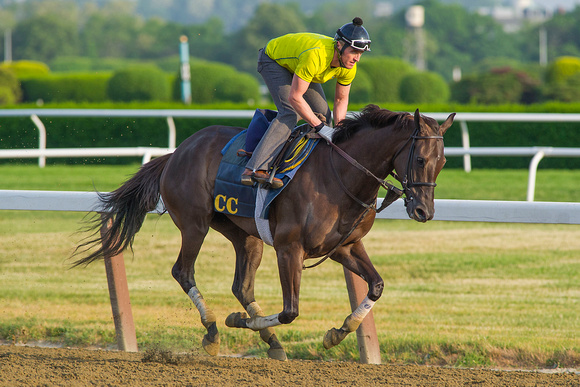 Zindaya, trained by Christophe Clement, gallops in preparation for the Intercontinental Stakes at Belmont Park in Elmont, New York.