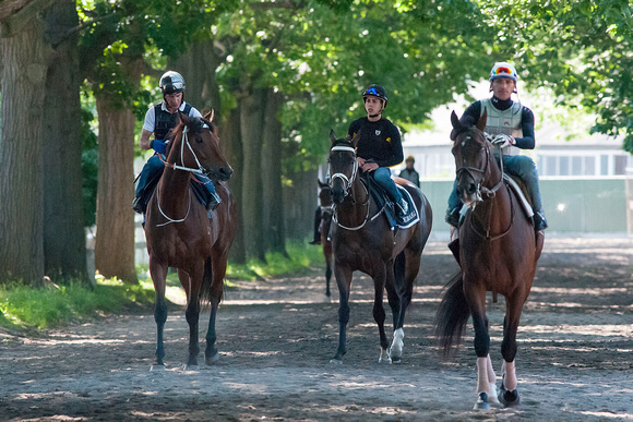UAE Derby (GII) winner Mubtaahij, with Irad Ortiz Jr. aboard and trained by Mike de Kock, puts in a breeze in preparation for a probable start in the Belmont Stakes (GI) at Belmont Park in Elmont, New