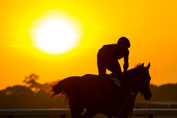 Scenes from morning workouts at Belmont Park in Elmont, New York.